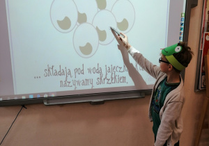 Uczeń wskazujący na tablicy multimedialnej poszczególne etapy rozwoju żaby.