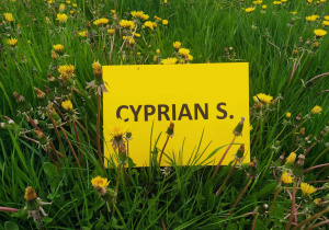 Zdjęcie Cypriana z kl. VIA
