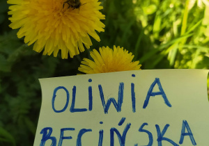 Zdjęcie Oliwii B. z kl. IVA
