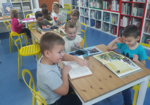 Zdjęcie 8 na 12