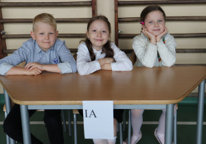 Zdjęcie 24 na 62