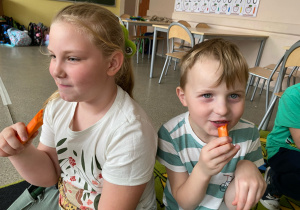 Projekt "Skąd się biorą produkty ekologiczne"
