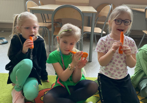 Projekt "Skąd się biorą produkty ekologiczne"