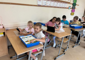 Zdjęcie 17 na 27