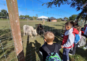 ZOO Borysew – wycieczka klas IVa, IVb, Va i Vb