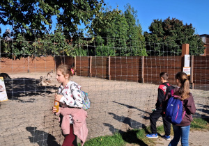 ZOO Borysew – wycieczka klas IVa, IVb, Va i Vb