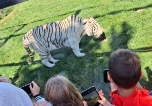 ZOO Borysew – wycieczka klas IVa, IVb, Va i Vb