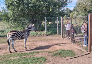 ZOO Borysew – wycieczka klas IVa, IVb, Va i Vb