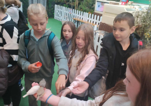 ZOO Borysew – wycieczka klas IVa, IVb, Va i Vb
