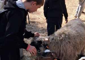 ZOO Borysew – wycieczka klas IVa, IVb, Va i Vb