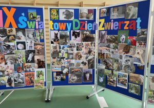 Światowy Dzień Zwierząt